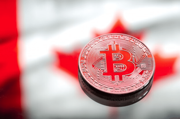Crypto Coin Crypto Coin